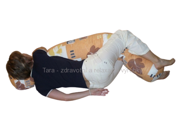 Polohovací rehabilitační válec na Canisterapii DENNY